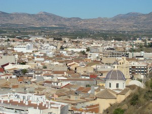 Panoramica huerta