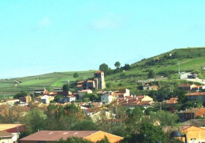 Carde&ntilde;adijo